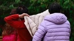 新标准出台：揭秘“以丝代绒”的乱象背后