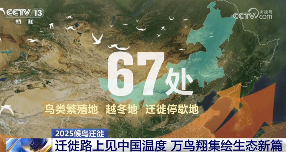 惊人的科学发现：候鸟迁徙路线竟与政府工作报告有直接关系