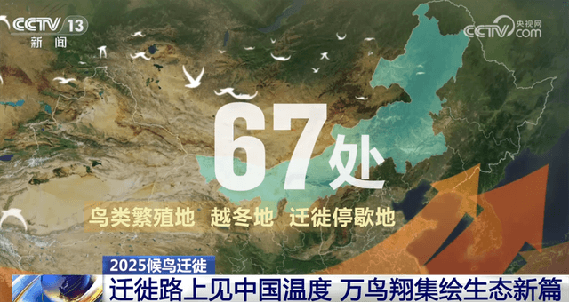 惊人的科学发现：候鸟迁徙路线竟与政府工作报告有直接关系