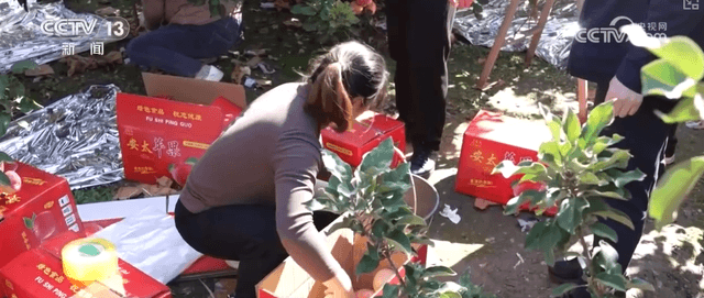 中国乡村振兴的“甜蜜”秘诀：农业、文旅和文化的创新融合