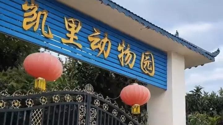 70岁退休教师改造深山动物园，藏不住了！