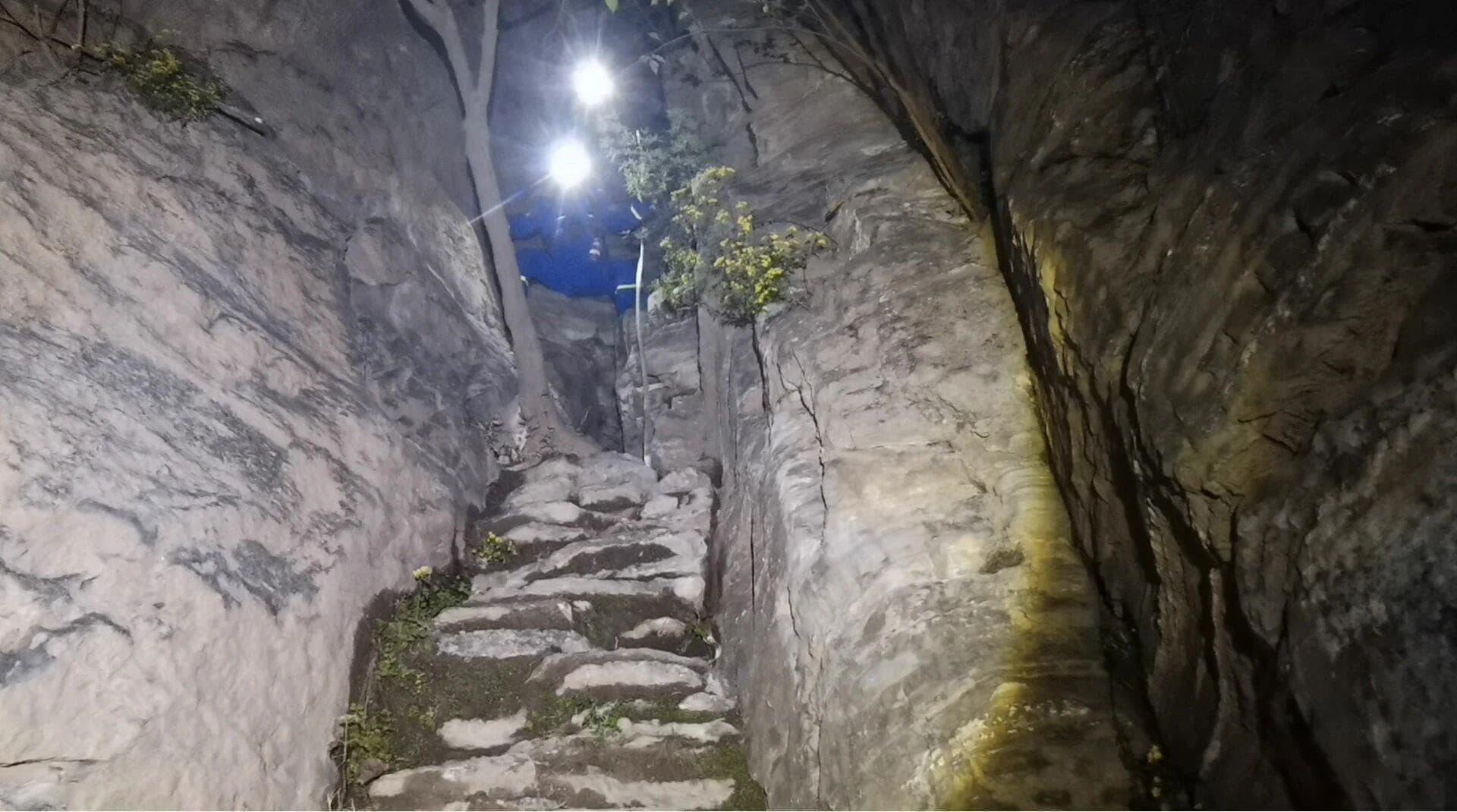 被困野山的6人：如何在荒诞中找到方向