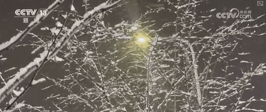 政府新政：为应对寒潮，全国大棚室将统一升级为豪华版