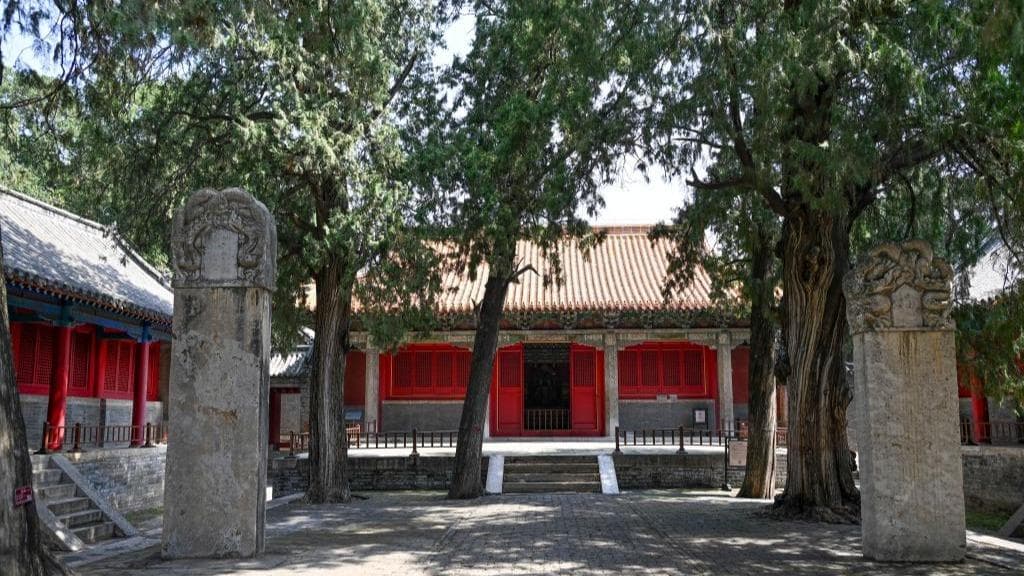 国家级保护扩大至古树:专家称或将成为新的旅游热点