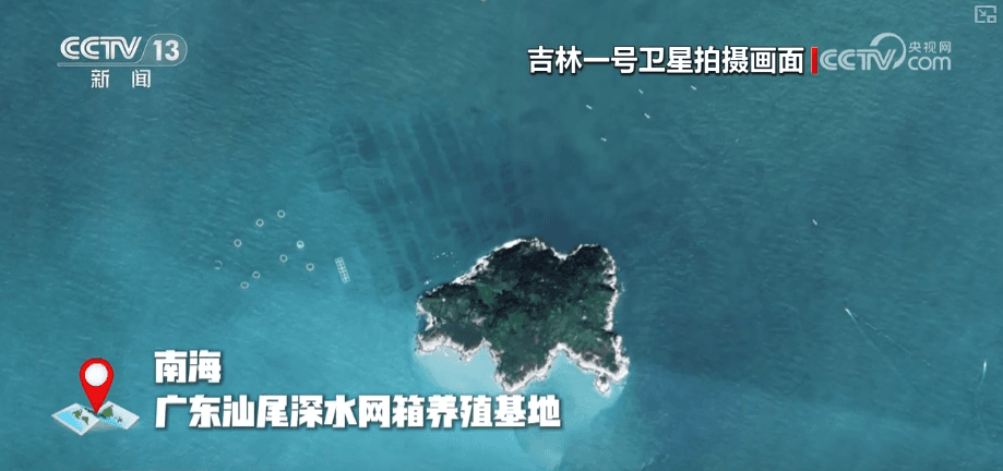 揭秘"海上粮仓":创新养殖模式下的水产革命