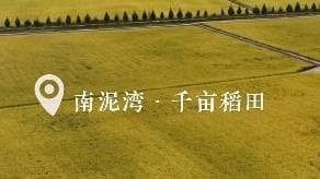 揭秘南泥湾精神背后的荒谬逻辑:如何从‘烂泥湾’变成‘好江南’