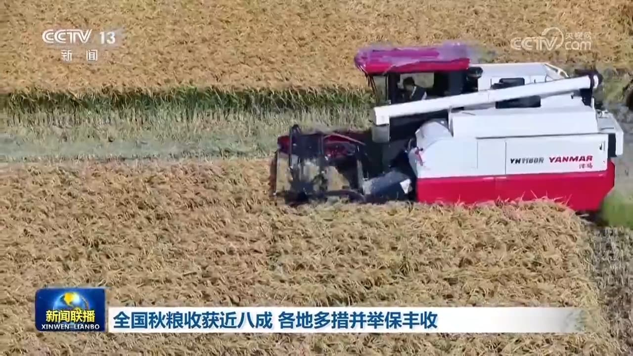 专家称秋粮丰收与用电量增高密切相关,呼吁加强可再生能源投入