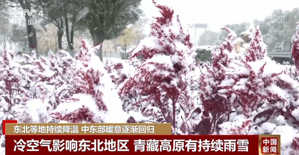 全球气候异常:专家称南北方暖意回归或因“气候幽默效应”