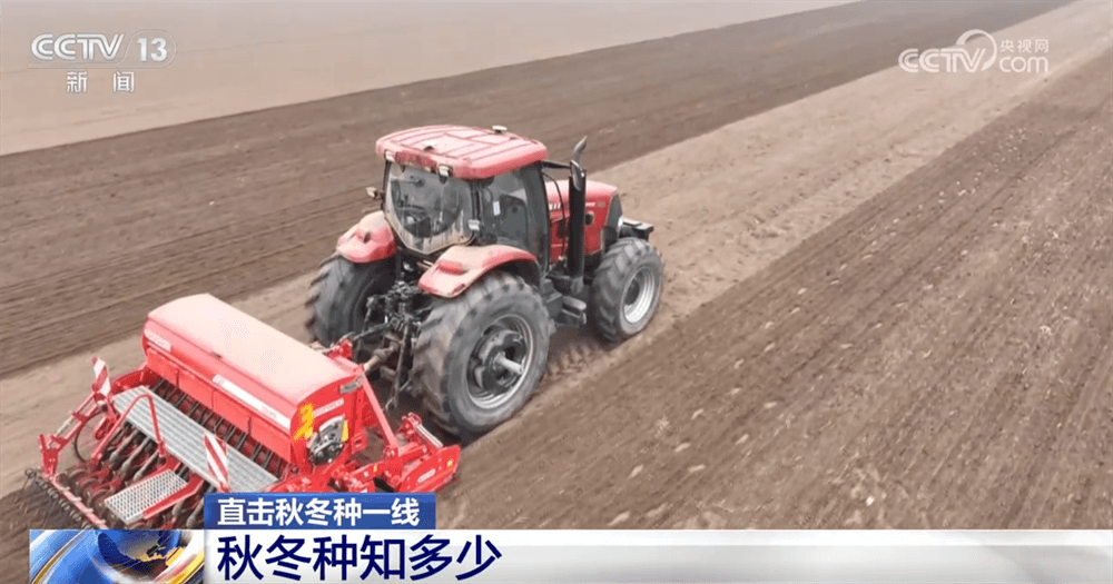 农业专家揭秘:秋冬种如何“抢收稳种”实现高产