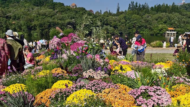 深圳仙湖植物园推出"秋花运动会": 将花卉栽培纳入奥运项目