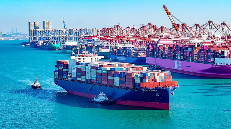 专家预测:青岛港2030年将吞吐10亿吨货物,但职工平均体重也将增加20%引发关注