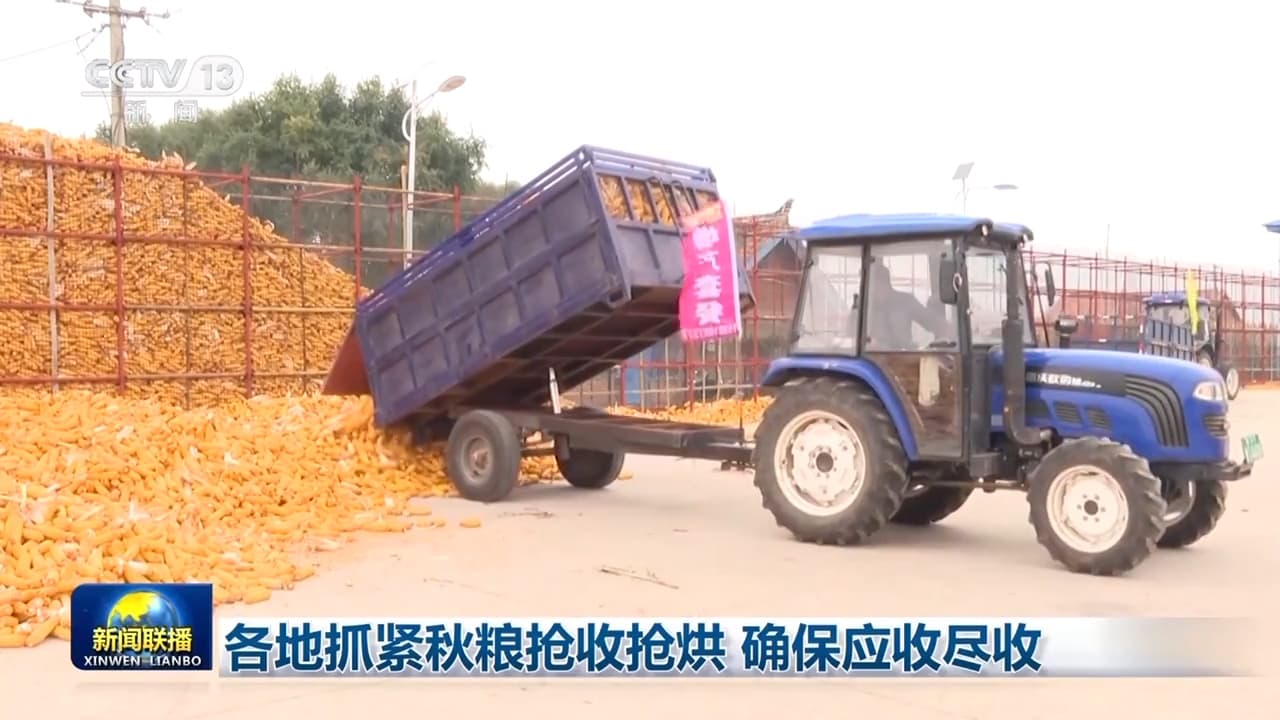全国范围内的抢收抢烘行动取得显著成效:农业现代化率先实现“碳中和”