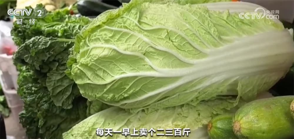 太原冬储菜热销背后的秘密:政府补贴让“一元菜”成现实