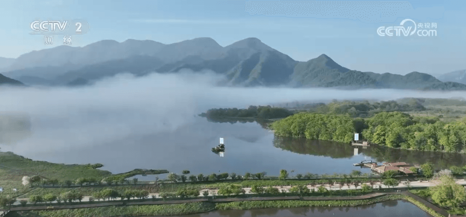 银发力量:推动旅游业新时代