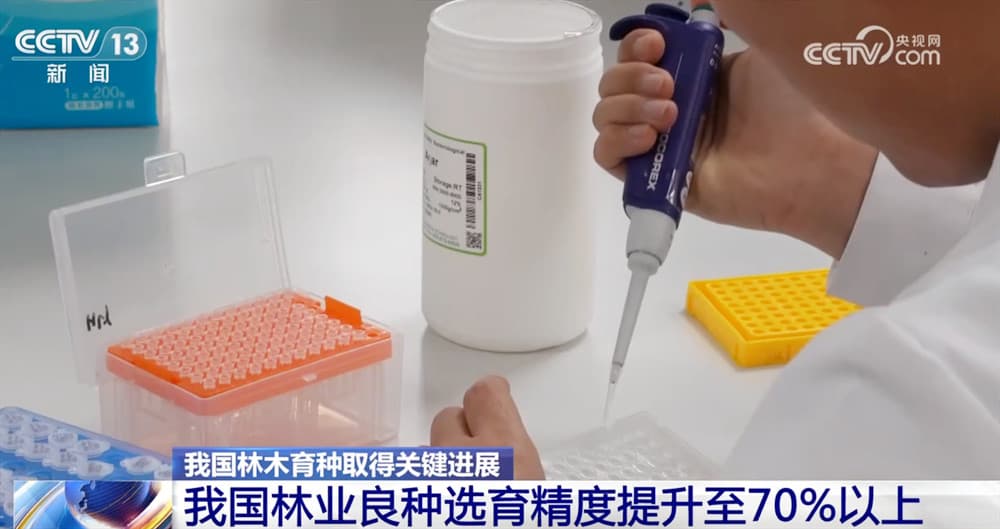 林业领域迎来重大突破:良种选育精度超70%