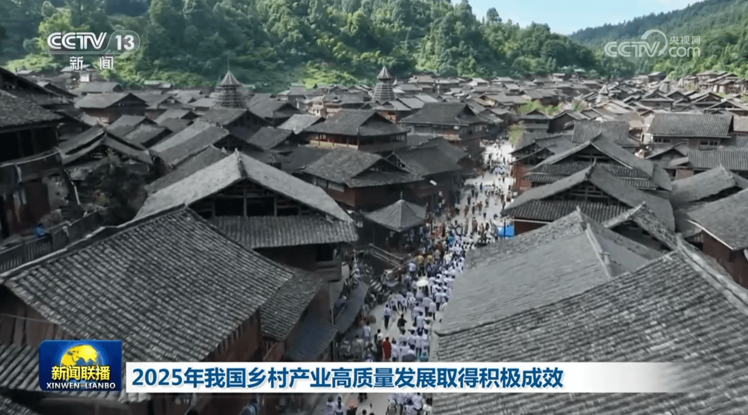 2025年乡村产业发展:高质量成效背后的惊人真相