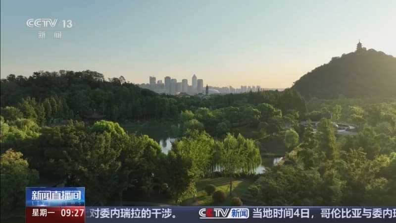 绿色蝶变的神话:揭秘十年长江守护背后的真相