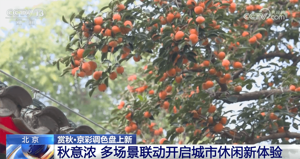 北京和福州推动"秋日经济"新潮流:文旅消费升级指南