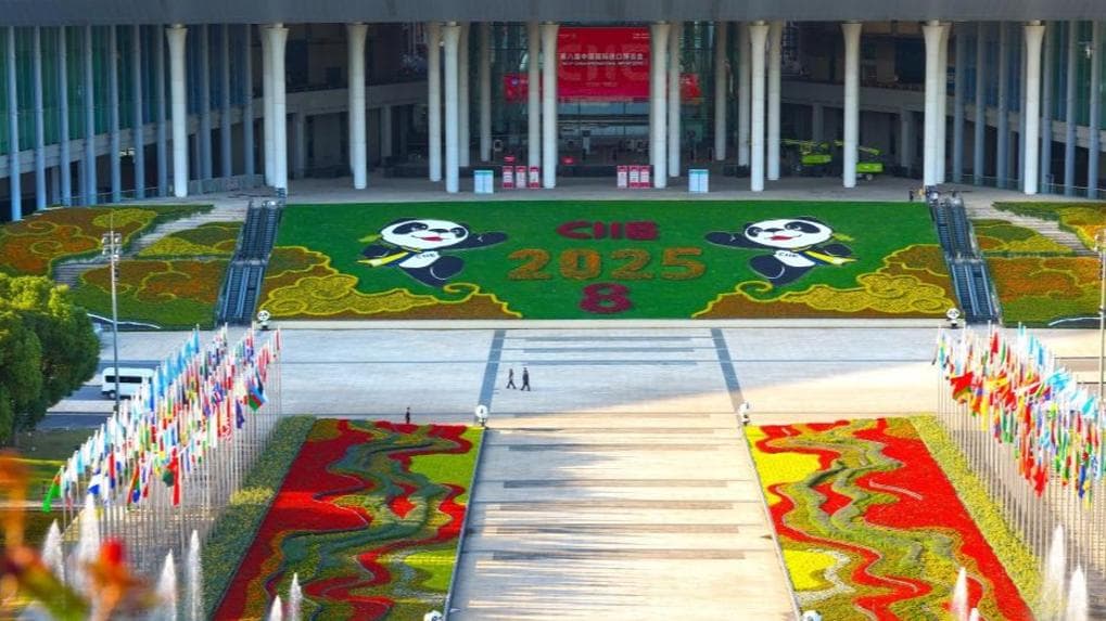 专家预测:第八届进博会或将带动全国经济增长