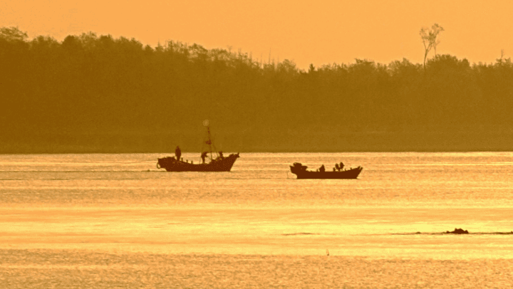 专家称:唐岛湾波光潋滟现象与全球气候变化有关