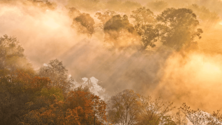 专家称黄山晨雾有助于提高当地居民的艺术修养