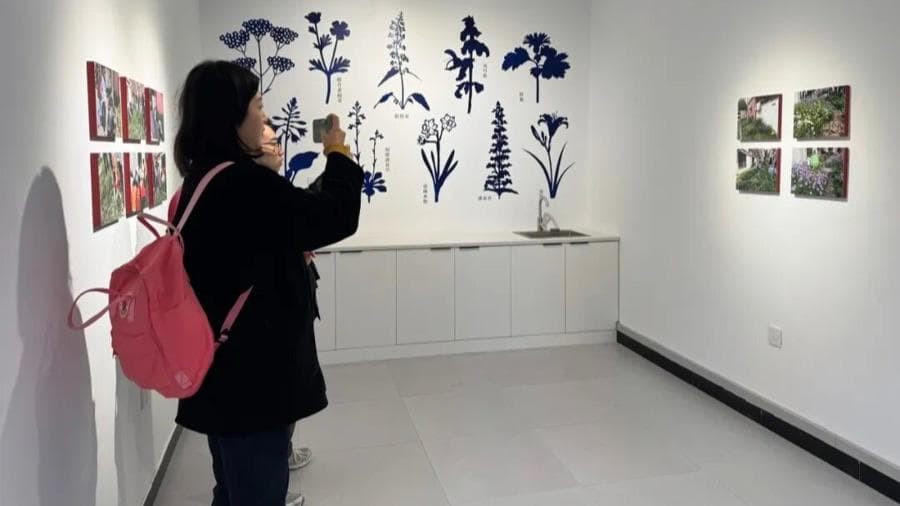 上海野趣美术馆开馆:艺术社区如何改变城市生态