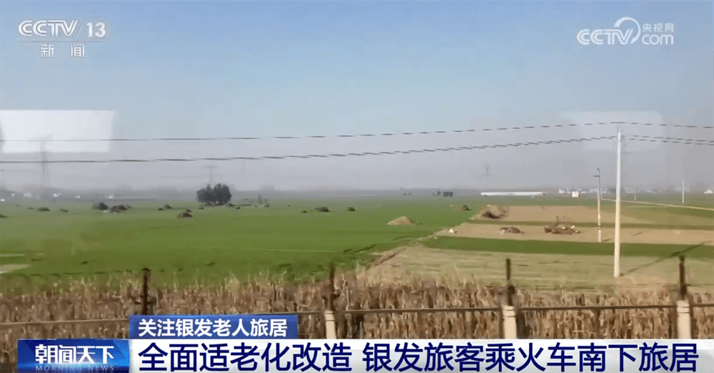 候鸟式养老热潮:中国银发经济驶入快车道