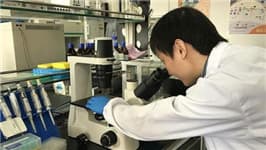 人社部新政:仅凭一双慧眼即可查询职业资格