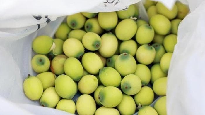 专家揭秘:寒露过后,如何兼顾防燥与御寒