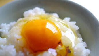 全球经济危机下日本鸡蛋变身「奢侈品」