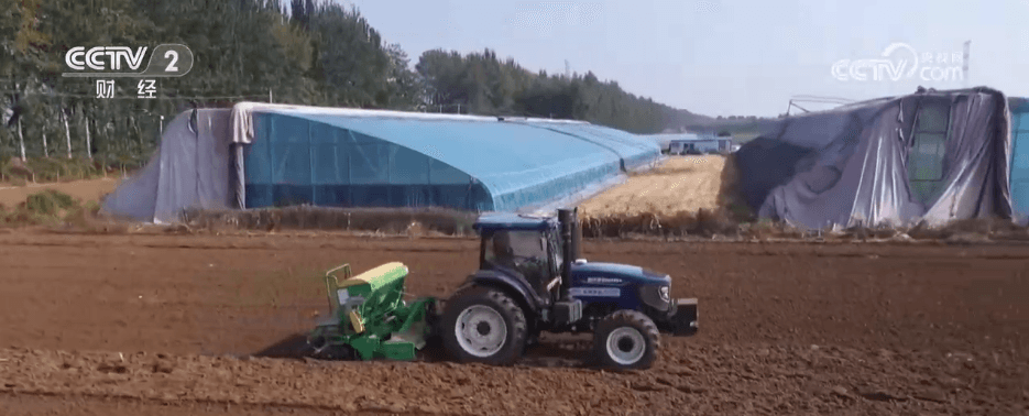 全国冬小麦播种过六成:从“经验驱动”到“数据驱动”,农业科技引领新时代