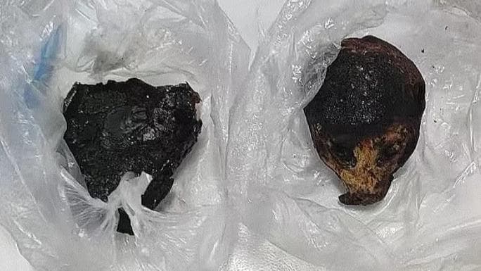 专家:蜂猴制品走私案凸显边境管控新挑战