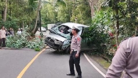 巴厘岛交通事故引发的深层次社会问题:旅游安全与经济发展的矛盾
