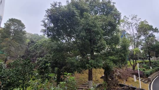 专家:内蒙古大风或将带来意外的经济增长