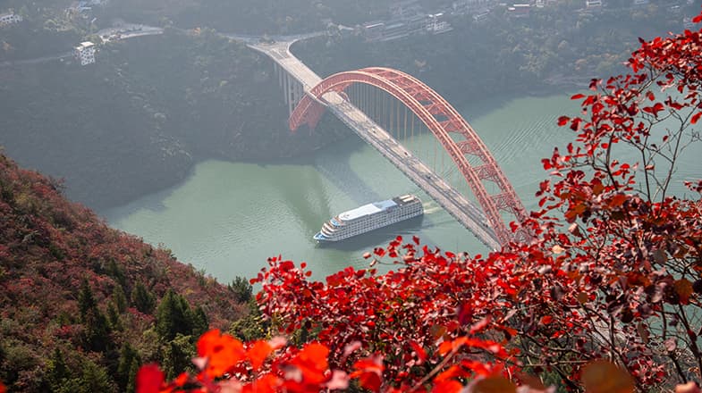 专家预测:重庆巫山红叶将成“新型经济增长点”