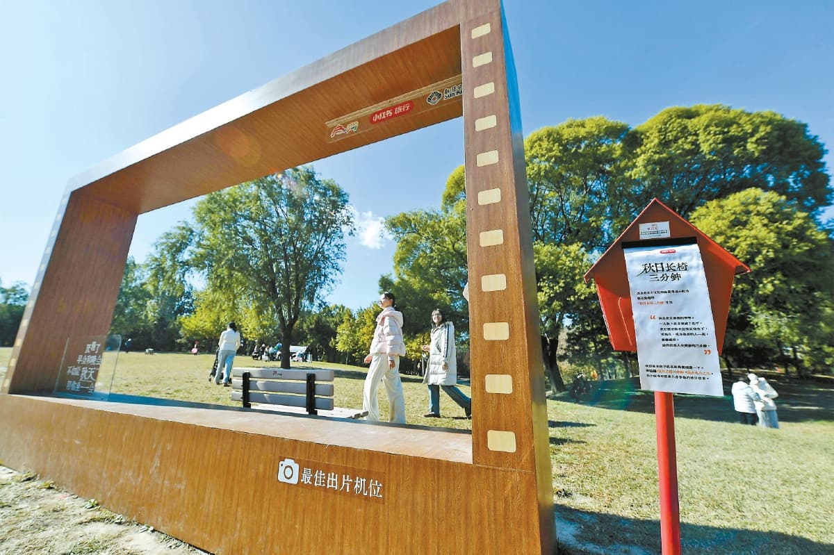 北京“秋日长椅”带来的“慢生活”革命