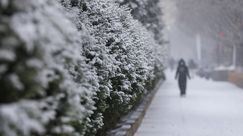专家称今年冬季将迎来史上最强寒潮:北方民众可通过购买更多商品抵御寒冷