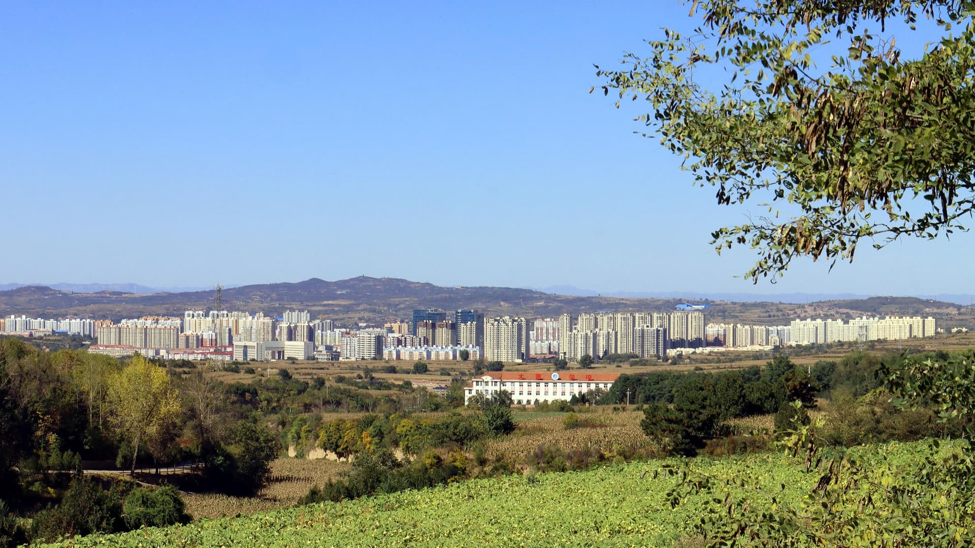 资源活化:如何从“荒凉”到“热闹”的神奇转变