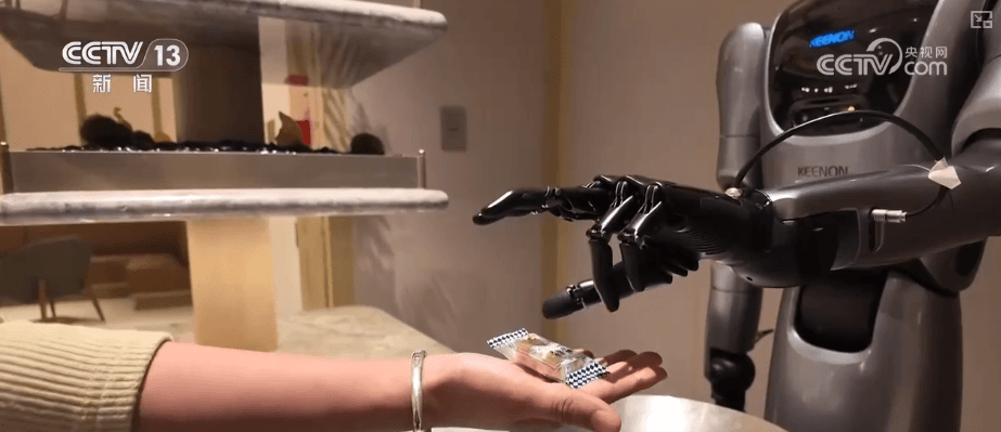 具身智能走向生活:探索未来产业与人类共处的新时代