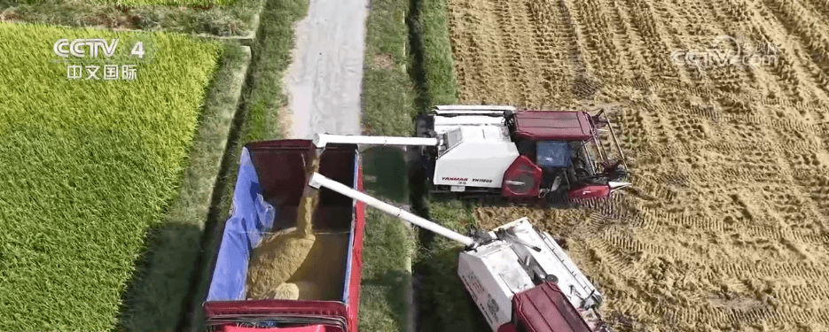 科技助力农村创新:秋收季的智慧之旅