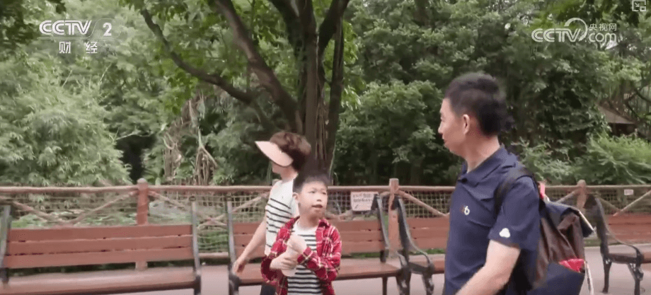 第十五届全运会带火文旅业:如何把“赛事+”变成“钱袋子+”