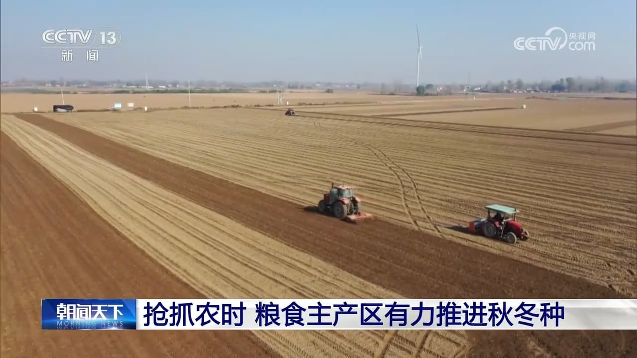 冬小麦播种进入快车道:农业专家称将迎来 "史诗般" 收成