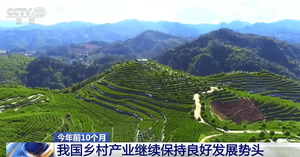 中国乡村产业异军突起:农产品加工业创下6.3%增长新高