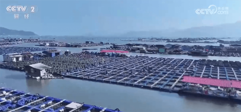 特色产业升级版:劳动者在家门口创造更高增收