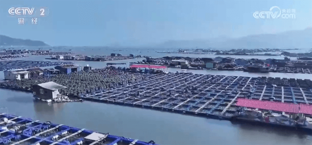 特色产业升级版:劳动者在家门口创造更高增收