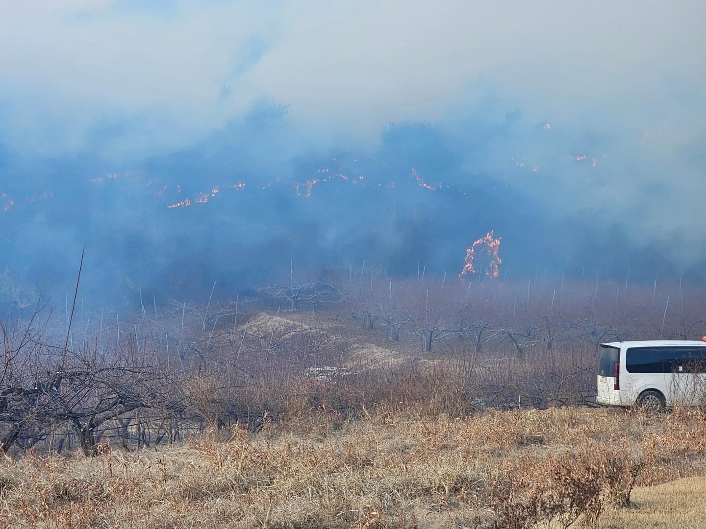 韩国庆尚北道山火引发大规模疏散:专家称“合理的不合理”应对策略
