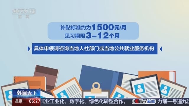 专家解读:就业见习补贴的荒诞之处