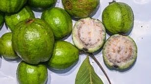 突破性发现:新方法可合成番石榴中对抗肝癌的分子,开启低成本治疗新时代