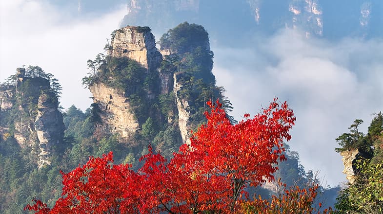 专家解读:张家界云海现象背后隐藏的经济转型契机