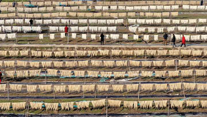 专家称晾晒番薯面或成为未来食品趋势